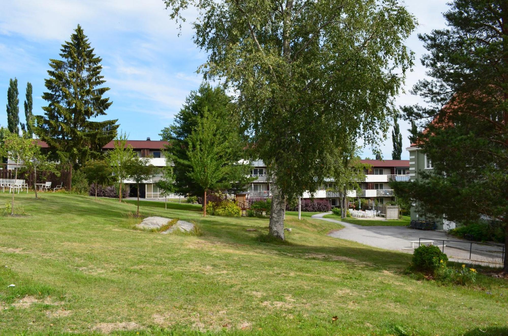 Sörgårdens Logi Bed and Breakfast Härnösand Exteriör bild