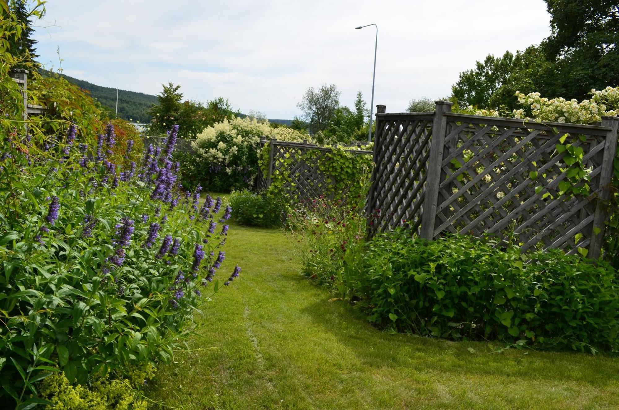 Sörgårdens Logi Bed and Breakfast Härnösand Exteriör bild