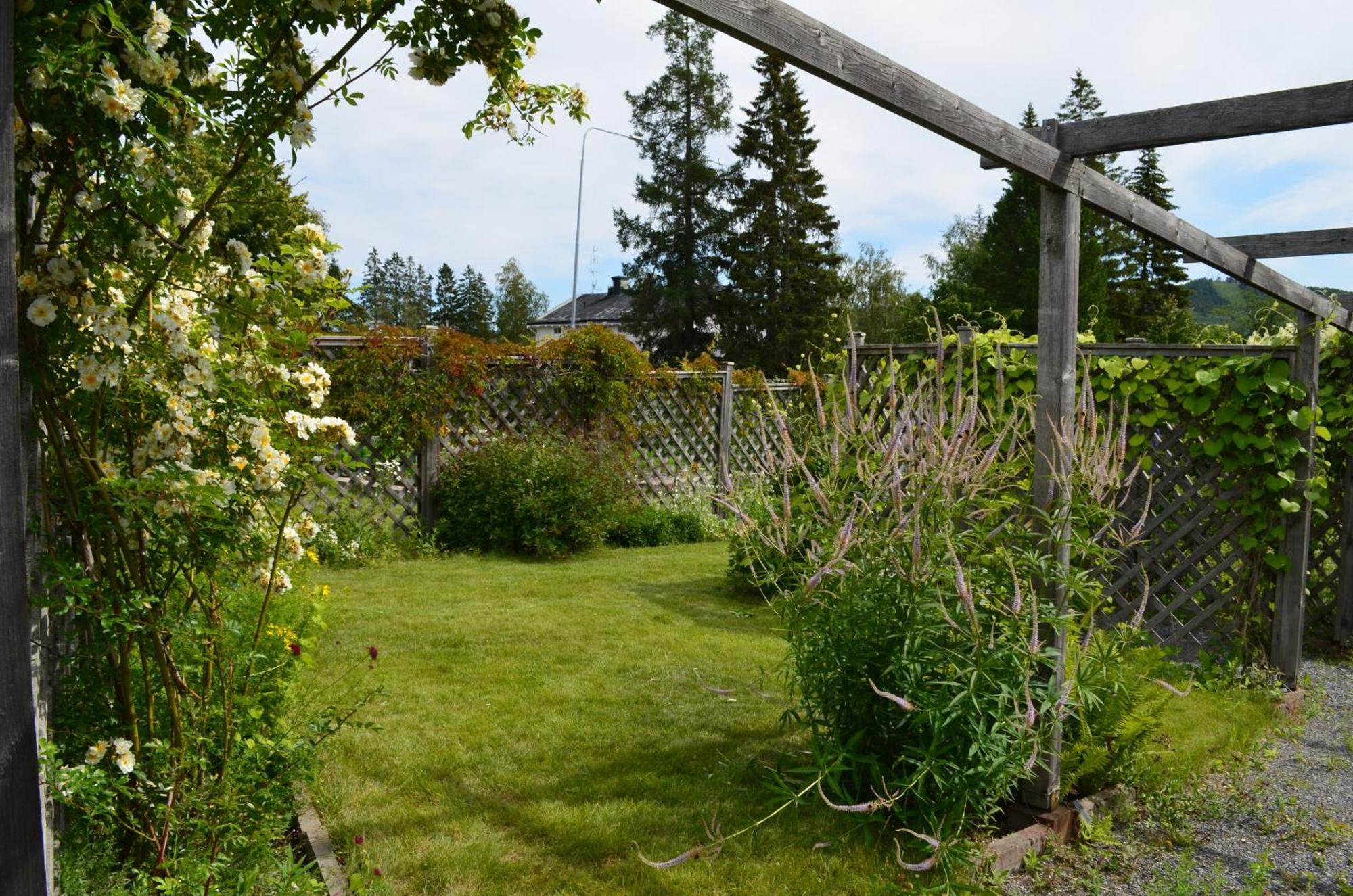 Sörgårdens Logi Bed and Breakfast Härnösand Exteriör bild
